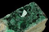 Fluorite Crystal Cluster - Rogerley Mine #135700-2